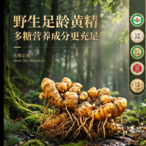 宣传图 1